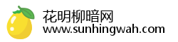 花明柳暗网